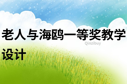 老人與海鷗一等獎教學設計