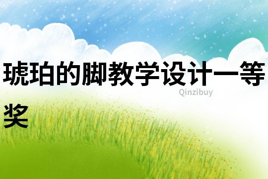 琥珀的腳教學(xué)設(shè)計(jì)一等獎