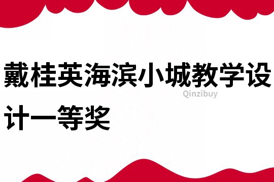 戴桂英海濱小城教學(xué)設(shè)計(jì)一等獎(jiǎng)