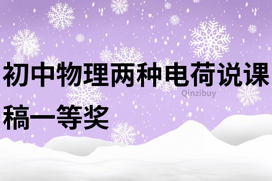 初中物理兩種電荷說課稿一等獎