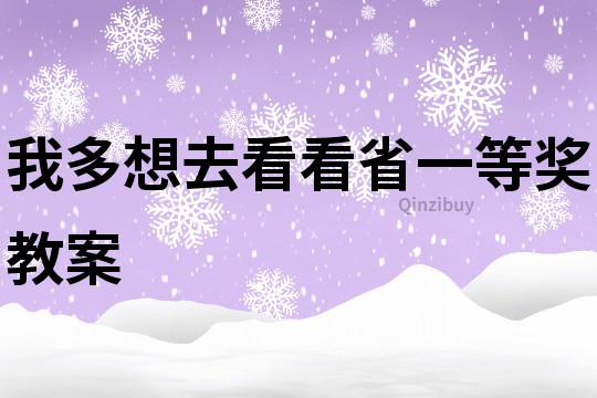 我多想去看看省一等獎教案