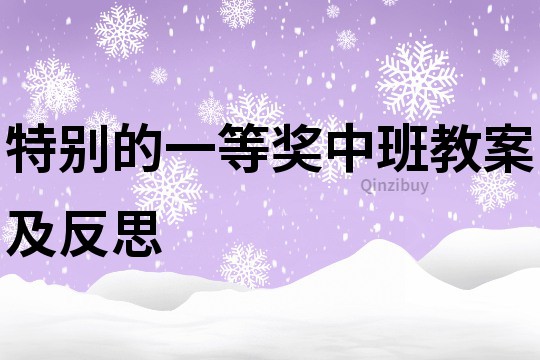 特別的一等獎(jiǎng)中班教案及反思