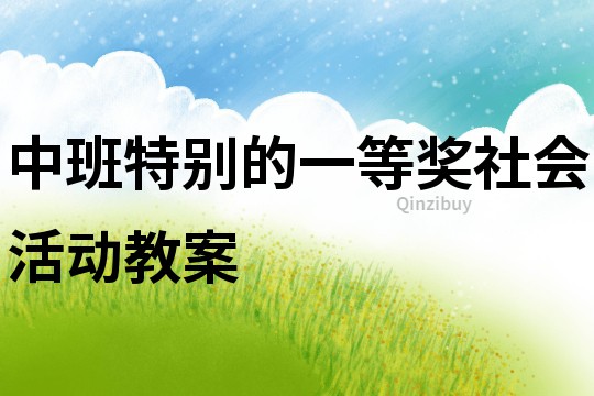 中班特別的一等獎社會活動教案