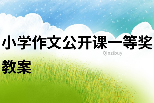 小學作文公開課一等獎教案