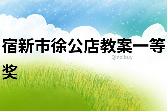 宿新市徐公店教案一等獎