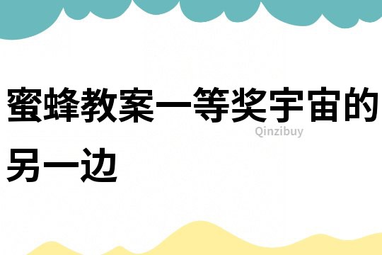 蜜蜂教案一等獎宇宙的另一邊