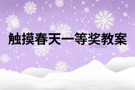觸摸春天一等獎教案