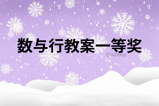 數與行教案一等獎