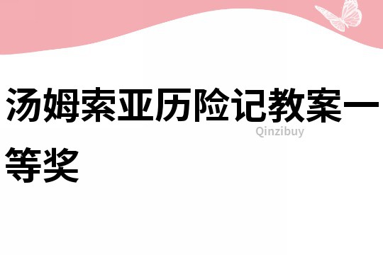 湯姆索亞歷險(xiǎn)記教案一等獎(jiǎng)