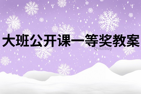 大班公開課一等獎教案