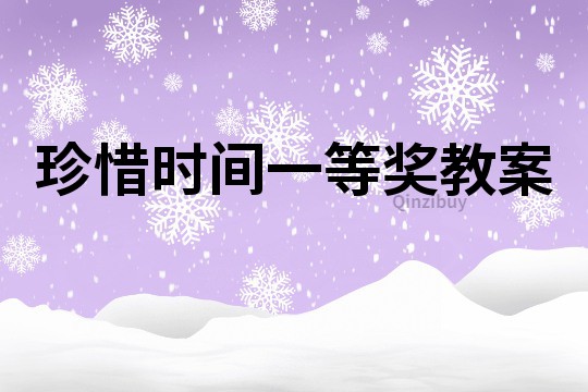 珍惜時間一等獎教案