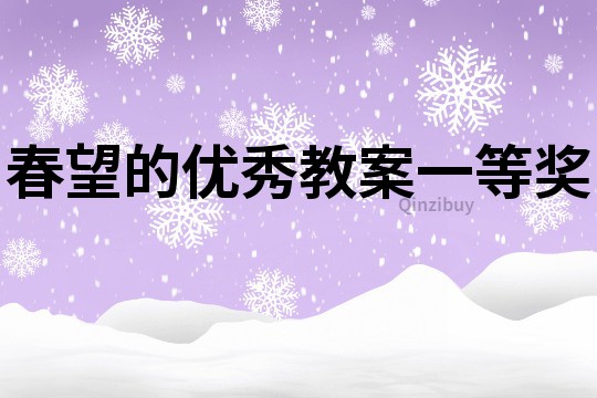 春望的優秀教案一等獎