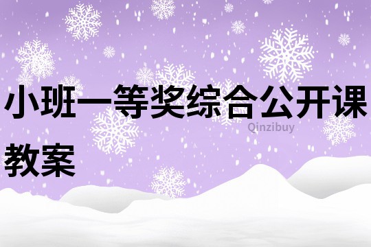 小班一等獎綜合公開課教案