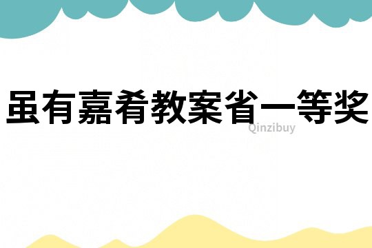 雖有嘉肴教案省一等獎