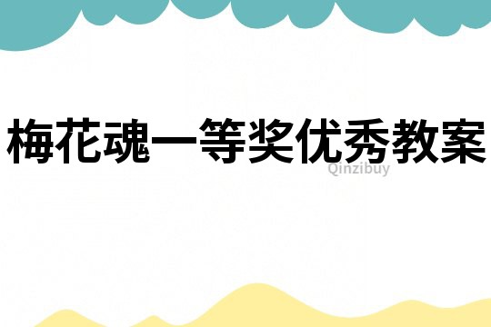 梅花魂一等獎優(yōu)秀教案