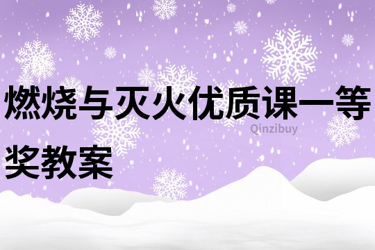 燃燒與滅火優質課一等獎教案