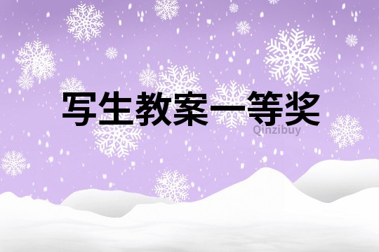 寫生教案一等獎