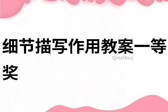 細(xì)節(jié)描寫作用教案一等獎(jiǎng)