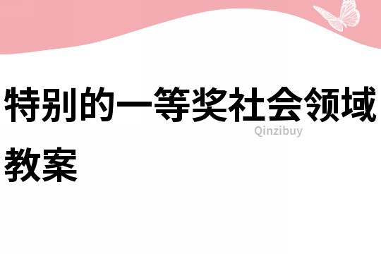 特別的一等獎社會領域教案