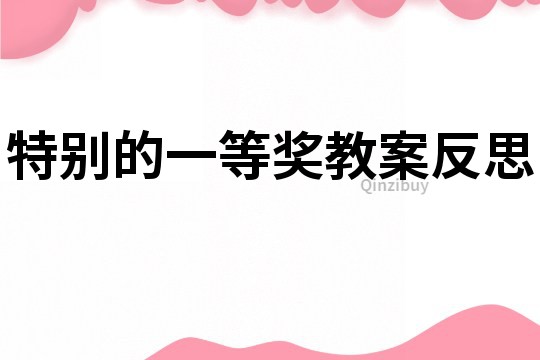 特別的一等獎教案反思