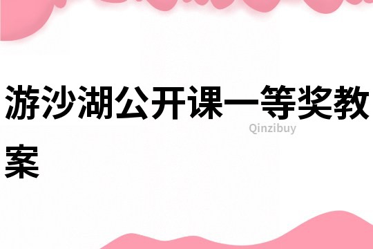 游沙湖公開課一等獎教案
