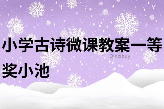 小學古詩微課教案一等獎小池