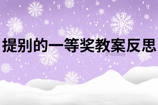 提別的一等獎教案反思