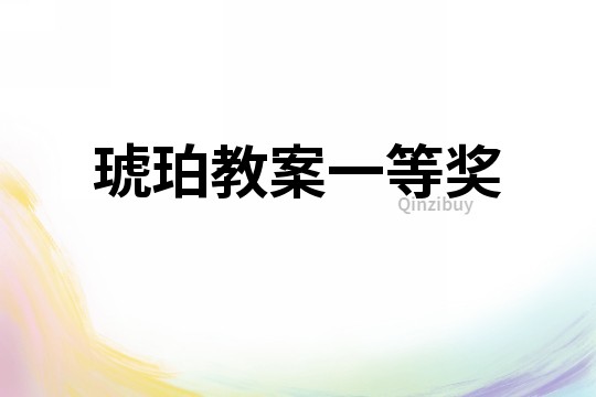 琥珀教案一等獎(jiǎng)