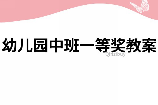 幼兒園中班一等獎教案