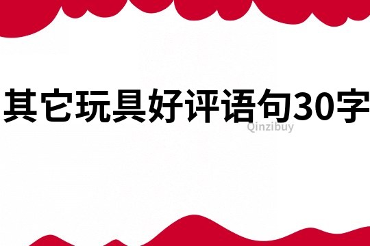 其它玩具好評語句30字