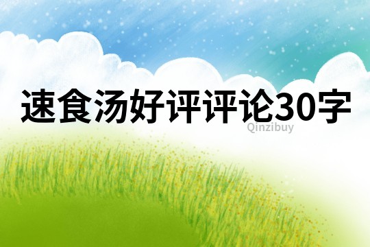 速食湯好評評論30字