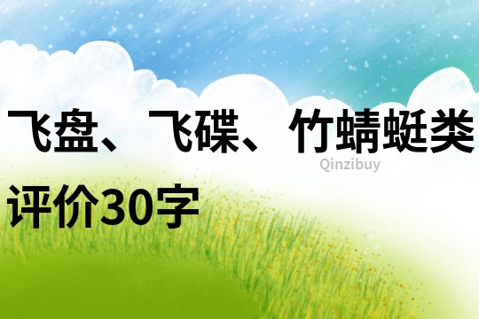 飛盤、飛碟、竹蜻蜓類評(píng)價(jià)30字