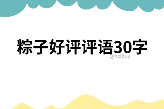 粽子好評評語30字