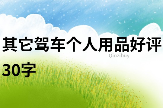 其它駕車個人用品好評30字