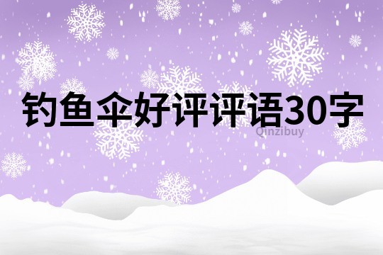釣魚傘好評評語30字