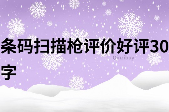 條碼掃描槍評價好評30字