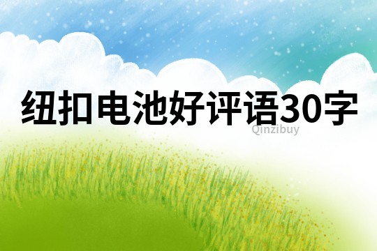 紐扣電池好評語30字
