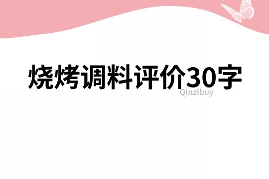 燒烤調料評價30字