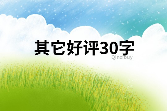 其它好評(píng)30字