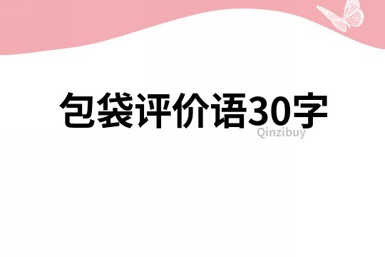 包袋評(píng)價(jià)語(yǔ)30字