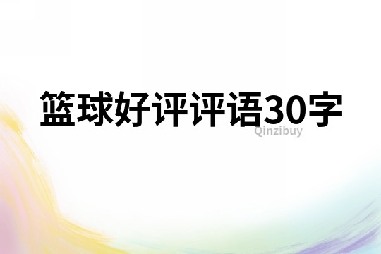 籃球好評評語30字