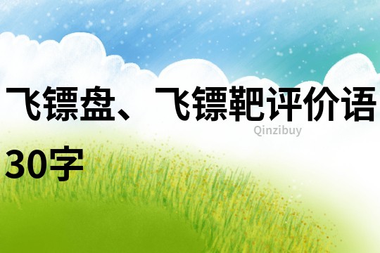飛鏢盤、飛鏢靶評價語30字