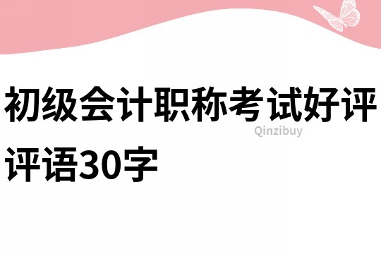 初級會計職稱考試好評評語30字
