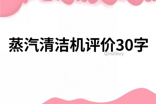 蒸汽清潔機評價30字