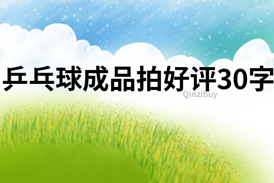 乒乓球成品拍好評30字