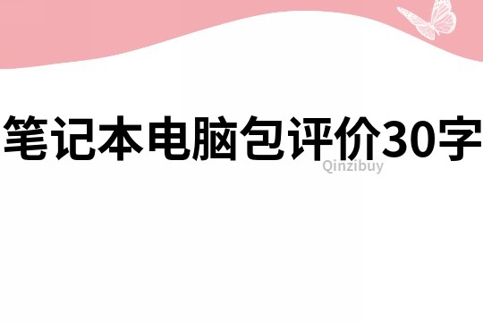 筆記本電腦包評(píng)價(jià)30字