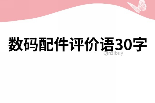 數(shù)碼配件評價(jià)語30字