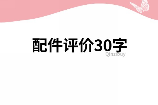 配件評價30字