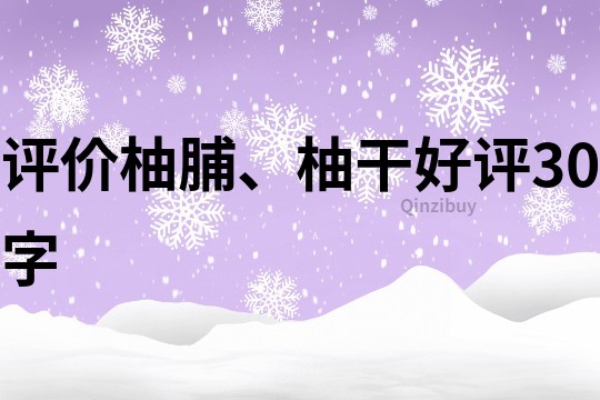 評價柚脯、柚干好評30字
