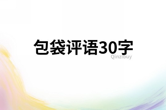 包袋評語30字